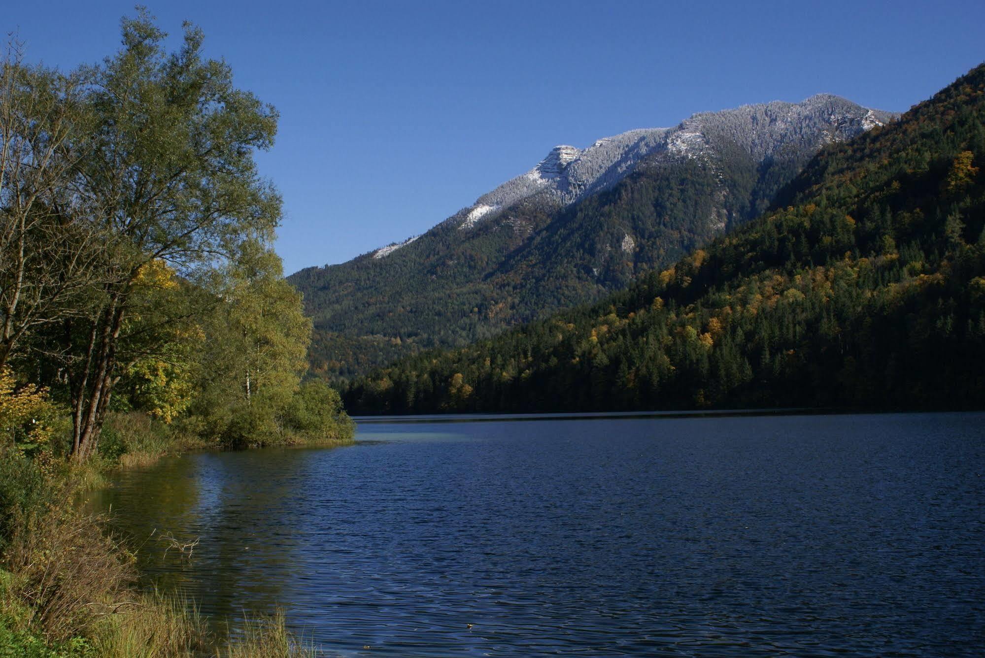 Landhotel Zellerhof Lunz am See Εξωτερικό φωτογραφία
